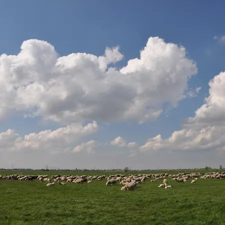 Gypsy Waggon - A On Wheels Bed & Breakfast