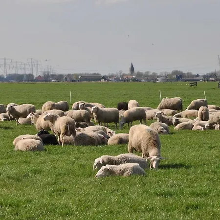 Gypsy Waggon - A On Wheels 3* アムステルダム