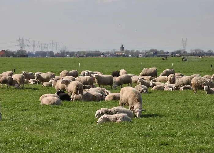 Gypsy Waggon - A On Wheels 3* Amsterdam