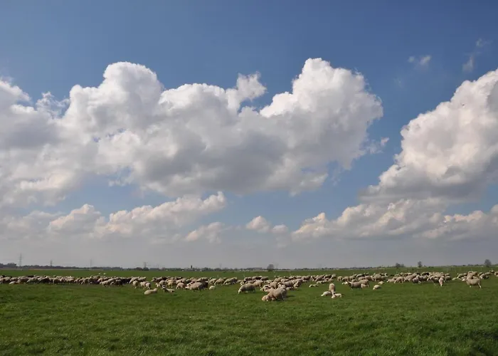 Gypsy Waggon - A On Wheels ベッド・アンド・ブレックファスト